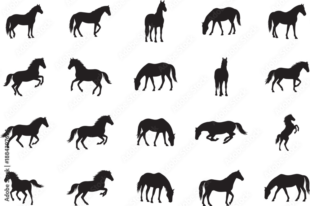 Fototapeta premium Collection of horse silhouettes in various poses and movements on white background