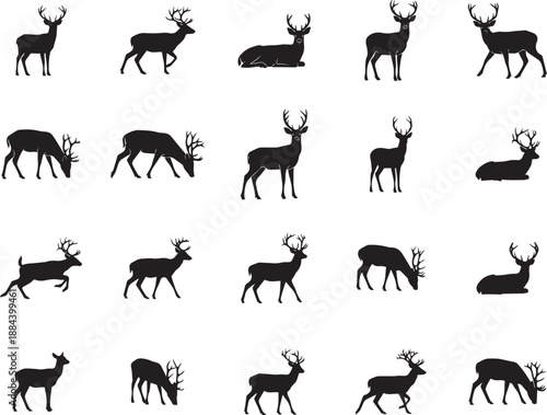 Silhouette of deer in various poses on white background for design and decoration