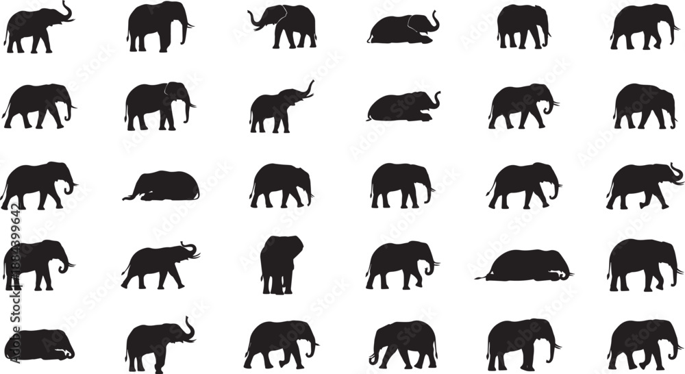Obraz premium Collection of elephant silhouettes in various poses and perspectives on white background