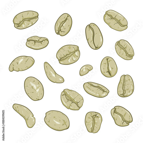 Vector Set of Raw Coffee Bean Cartoon Illustration