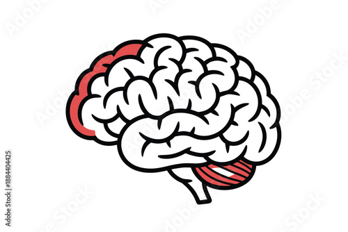 A cartoon illustration of a human brain with a damaged section highlighted in red.