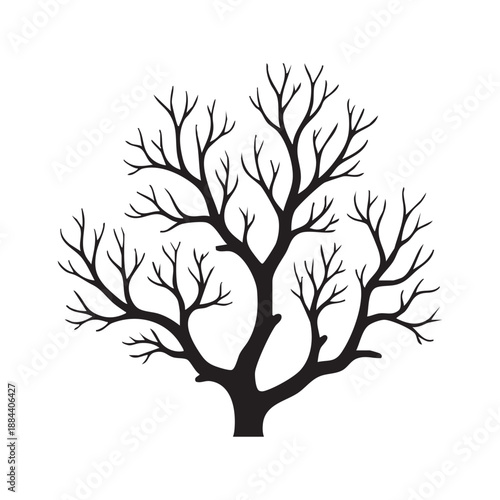 Bare tree silhouette intricate branches and twigs minimalist vector illustration for nature and seasonal concepts isolated on white