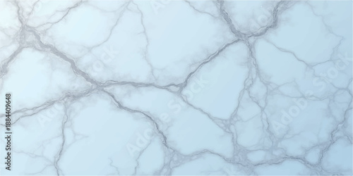 Frozen frost patterns and ice crystals texture the snow covered branches against a blue winter sky seen through a cold white window surface with abstract marble nature backgrounds