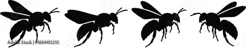 Four black silhouette insects with wings and antennae on white background