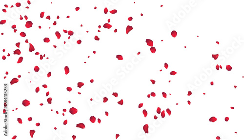 Flowing red rose petal stream background for engagement party