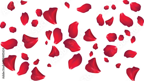 Falling realistic red rose petals illustration for florist branding
