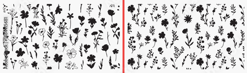 Hand Drawn Floral Botanical Illustration, Black White Flower Sketch Art, Vintage Wildflower Pattern Design Vector, Botanical Line Art Drawing Clipart, Nature Plant Doodle Graphics Set, Decorative Flor