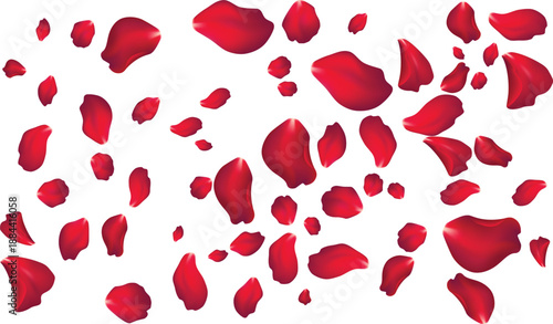 Vibrant red rose petal shower illustration for holiday sales