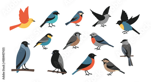 Colorful collection of various bird species in different poses, including flying and perching, isolated on a white background.