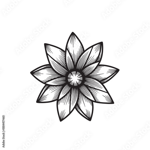 Stylized Star-Shaped Exotic Flower Illustration in Detailed Vintage Engraving Line Art