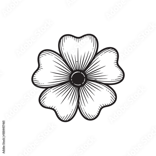 Simple Yet Elegant Five-Petal Wildflower Vector Illustration in Vintage Engraving Style