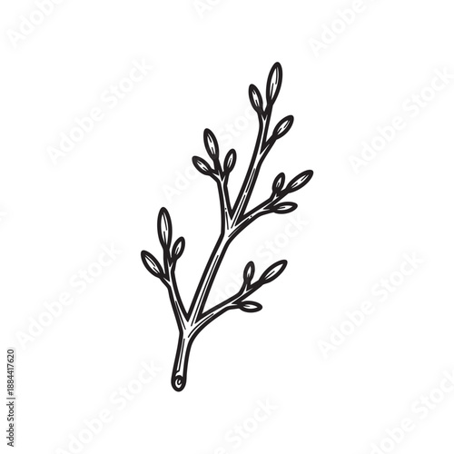 Simple Bare Twig or Small Branch Vector Illustration for Minimalist Nature Designs