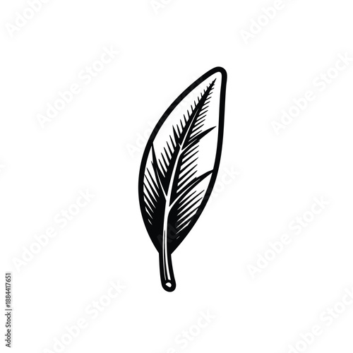 Narrow Feather-Like Leaf Vector Illustration for Elegant Vintage Botanical Ornamentation