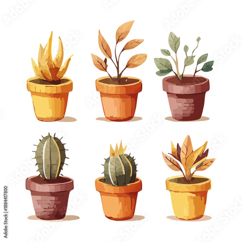 Detailed set of desert cacti and spiky succulents in small brown clay pots for rustic southwest home design