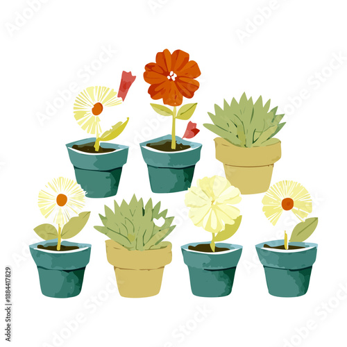 Diverse set of green succulents and desert cacti planted in simple dark pots for modern home interior decoration