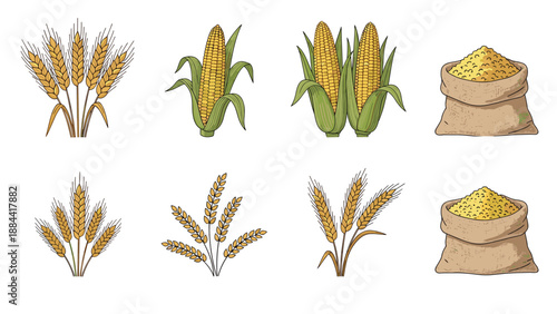 Agricultural illustration set features golden wheat stalks, ripe corn on the cob, and heavy sacks filled with grain.