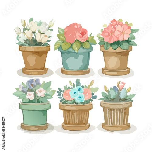 Rustic pink roses and white garden flowers in wooden pots for farmhouse style and vintage wedding decoration