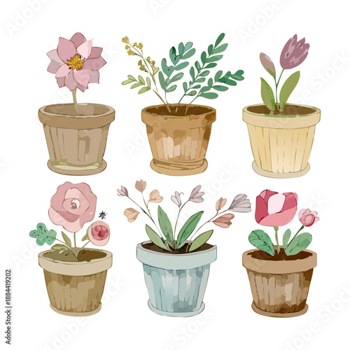 Mixed spring flowers and green leafy plants in earthen pots for naturalistic garden design and eco friendly landscaping