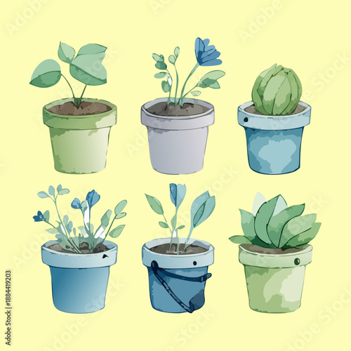 Green succulents and cacti in light green pots for modern desert style interior and low maintenance gardening