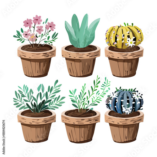 Various desert cacti and flowering succulents in rustic wooden pots for bohemian home decor and southwest style
