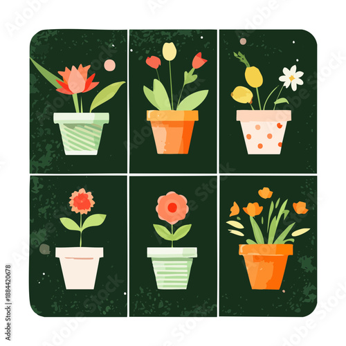 Dark green boxwood and spherical shrubs in terracotta pots for formal garden entrance and elegant landscape architecture