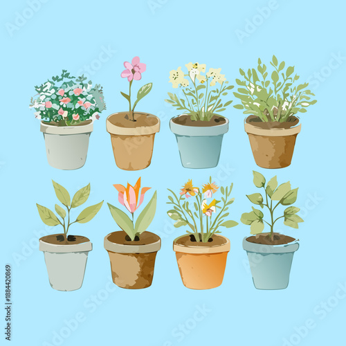 Potted herbs and medicinal plants for kitchen garden inspiration and healthy organic cooking lifestyle at home concepts