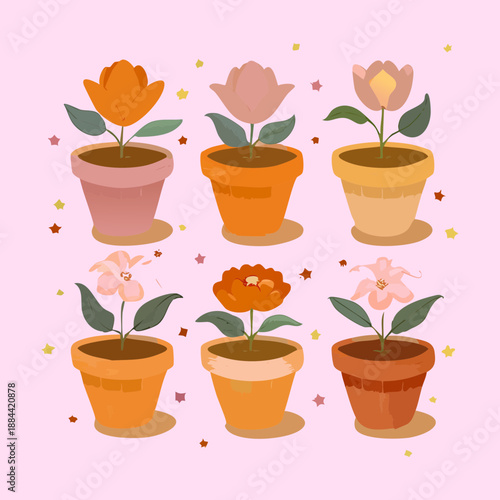 Bright orange and pink garden flowers in classic pots for cheerful outdoor landscaping and summer porch decoration projects