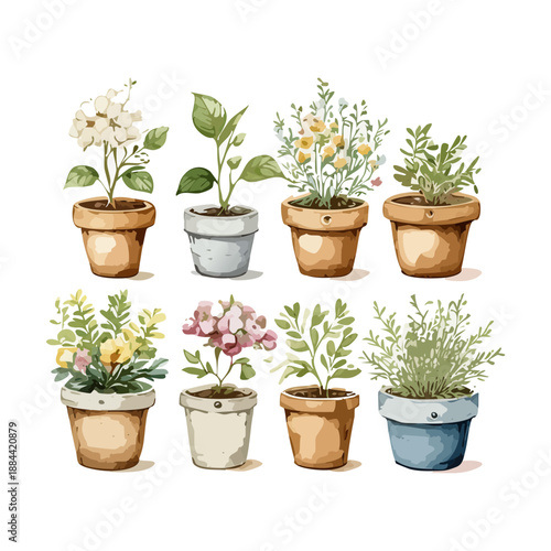 Elegant white floral arrangements and green herbs in textured pots for sophisticated home garden and patio styling ideas
