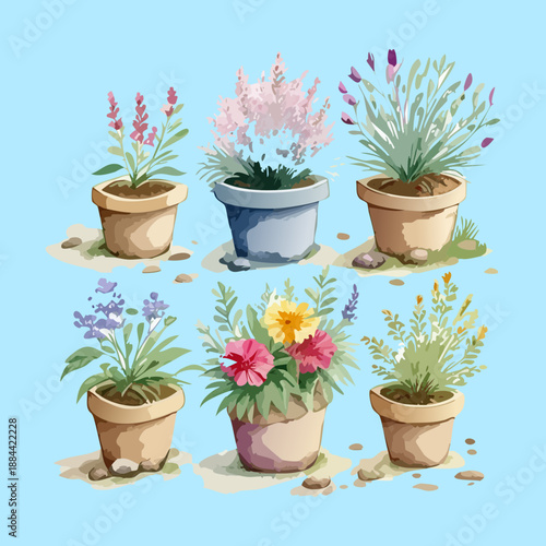 Set of lavender and aromatic herbs in terracotta pots for fresh garden aesthetic and balcony decor