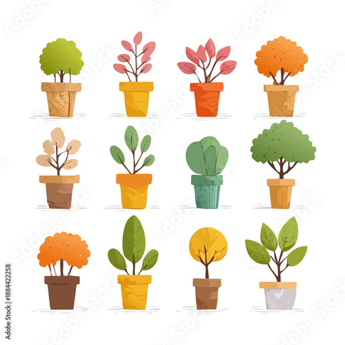 Set of autumn shrubs and miniature trees in colorful pots for seasonal garden landscape and terrace