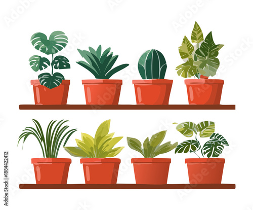 Set of assorted cacti and tropical plants on wooden shelves for modern home interior and office