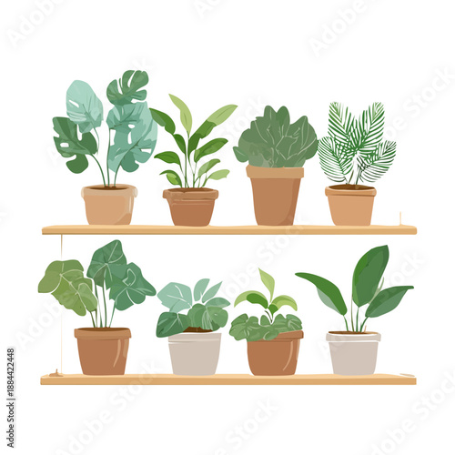 Set of tropical green leaves and garden plants on wooden shelves for urban jungle home decor
