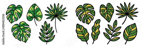 Colorful collection of tropical leaves in a vector illustration style
