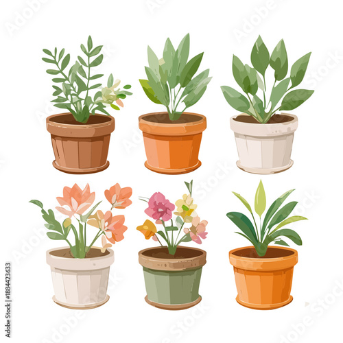 Set of green leafy plants and garden shrubs in white pots for modern minimalist garden and home