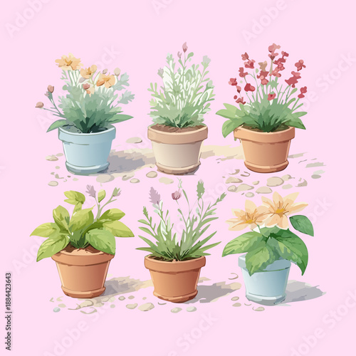 Set of green lavender and field herbs in light blue pots for fresh garden aesthetic and balcony