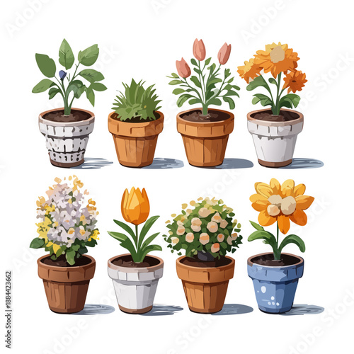 Set of yellow daisies and spring flowers in white ceramic pots for classic garden and home decor