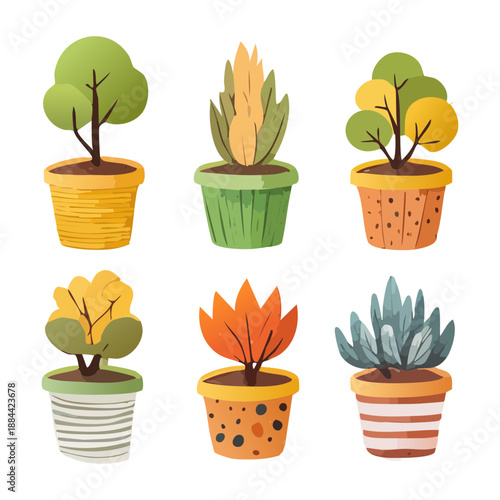 Set of miniature trees and garden shrubs in colorful pots for modern landscaping and terrace garden design