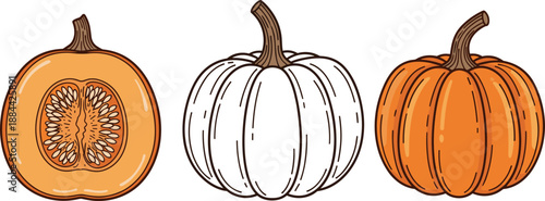 Pumpkin illustration vector set showing whole half and outline pumpkins isolated on white background for autumn halloween harvest designs projects