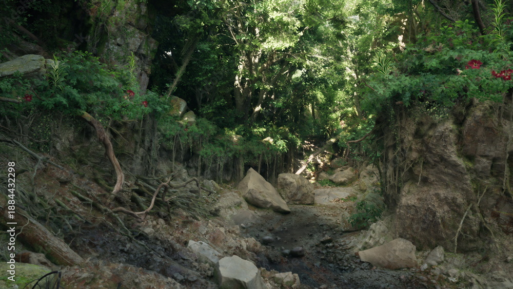 Fototapeta premium Shaded forest ravine with exposed roots and mossy stones, dappled light filtering through canopy, cool humid atmosphere perfect for hiking and ecological study.
