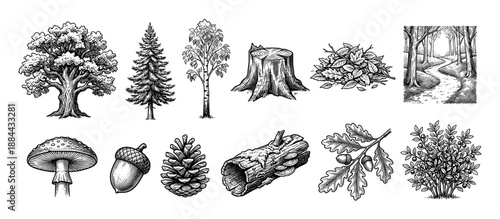 Hand-drawn vintage style forest elements collection including trees, a mushroom, an acorn, a pinecone, a log, and a stump in a detailed black and white etching illustration style