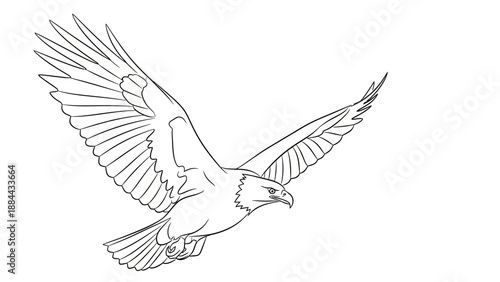 Minimalist Line Art Collection – Dynamic Motion & Symbolic Forms