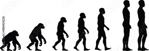 Silhouette Illustration of Human Evolution from Primate to Modern Human, Black and White Progression