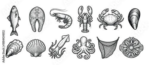 Large set of seafood illustrations including fish, salmon steak, shrimp, lobster, crab, mussel, oyster, scallop, squid, and octopus in a vintage black and white engraving style