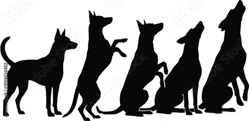Silhouettes of dogs in varied poses including standing, sitting, and howling, illustrating behavior, posture, and training stages