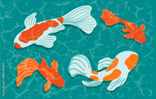 koi fishes swimming in the pond vector background. asian colorful koi fish