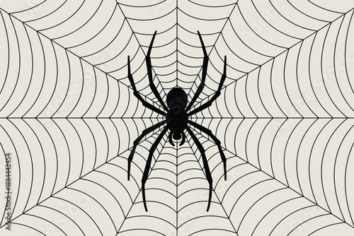 Black Spider on a Classic Spiderweb, nature wildlife concept