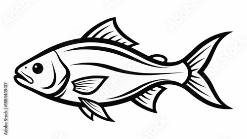 fish vector illustration