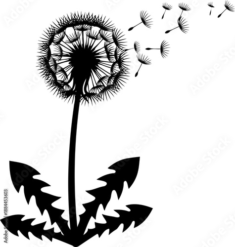 Dandelion flower with seeds blowing in the wind silhouette vector