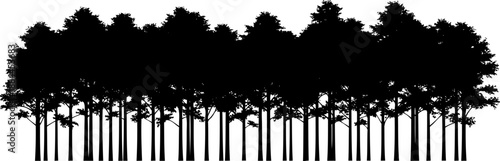 Dense forest tree line silhouette panorama vector