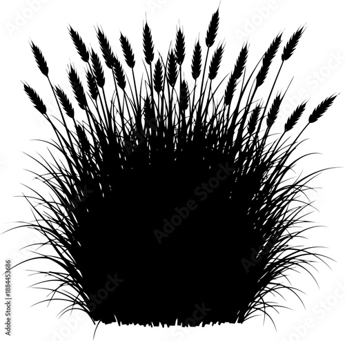 Dense cluster of wheat stalks and cereal grain heads silhouette vector